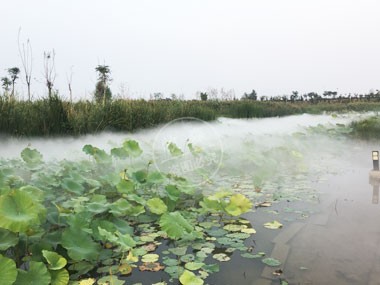 邯鄲洺湖濕地公園項(xiàng)目